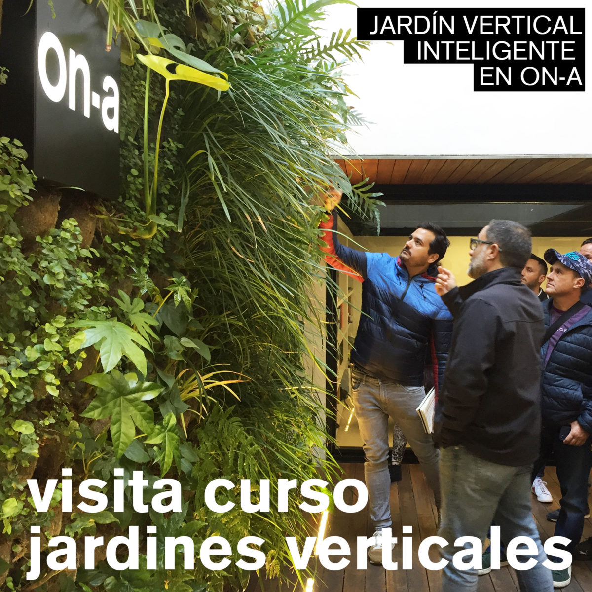 VISIT TO ON-A VERTICAL GARDENS COURSE