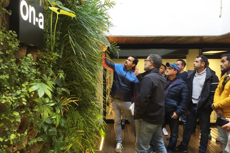 La semana pasada visitaron nuestro jardín inteligente los alumnos del curso de jardines verticales organizado por Verdtical.