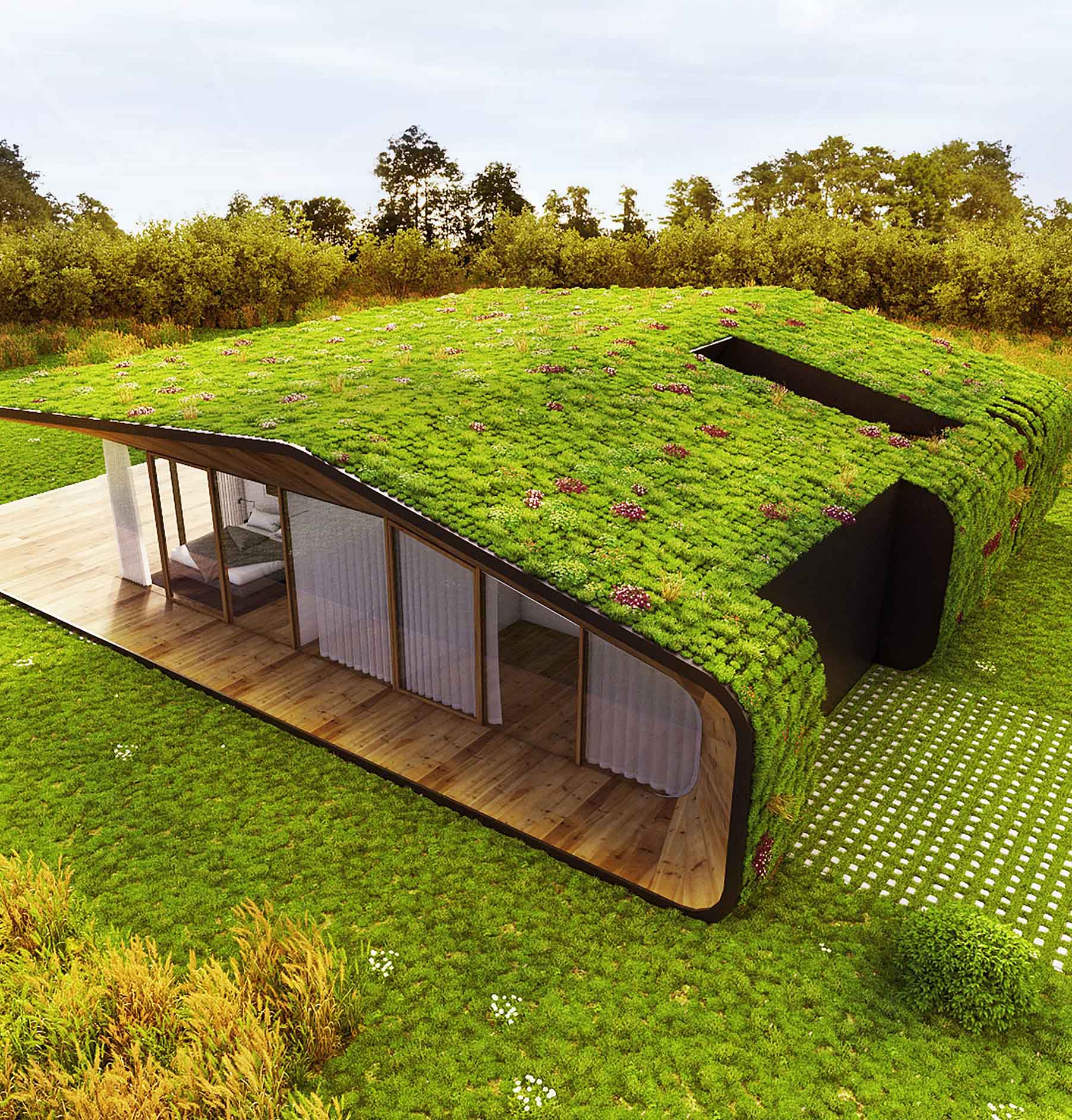 Green Nest House